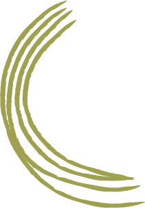 Cardamom Farm Pattern